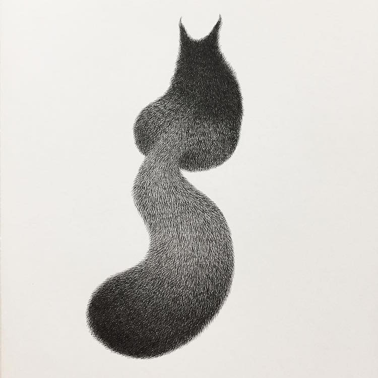 Cat Tail Drawing at PaintingValley.com | Explore collection of Cat Tail