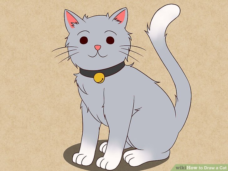 728x546 The Best Ways To Draw A Cat - Cat Tail Drawing