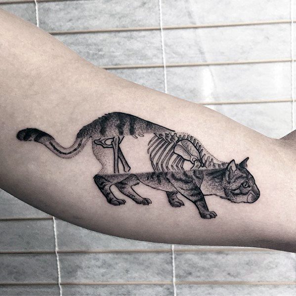599x599 Cat Tattoo Ideas For Men - Cat Tattoo Drawing