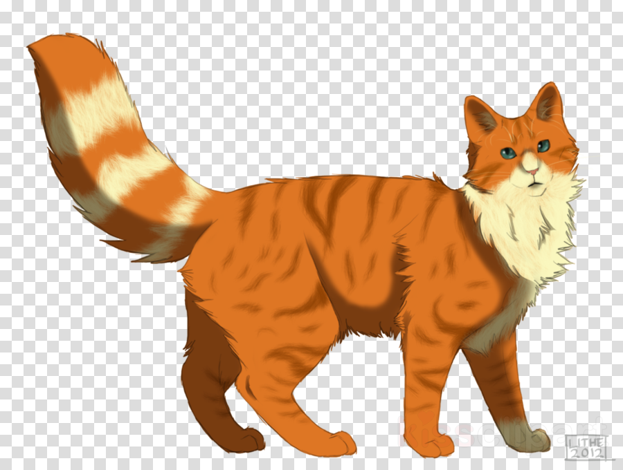 900x680 drawing, cat, orange, transparent png image clipart free download - Cat Whiskers Drawing