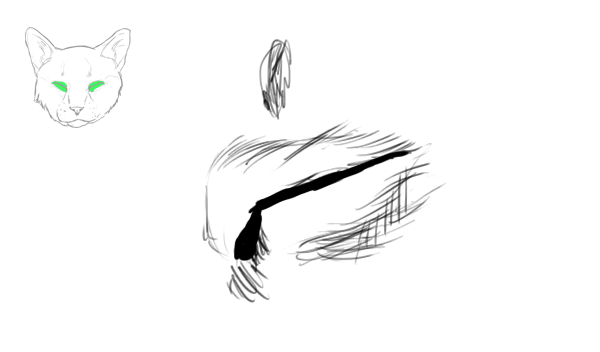 600x352 how to draw animals cats and their anatomy - Cat Whiskers Drawing