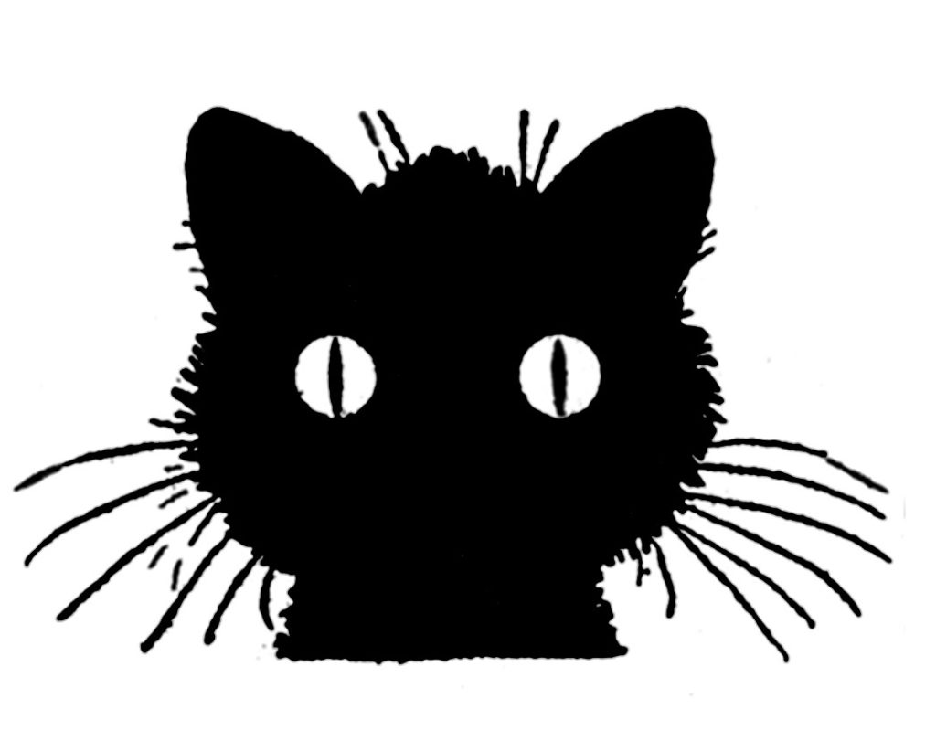 1024x799 how to draw a cat - Cat Whiskers Drawing