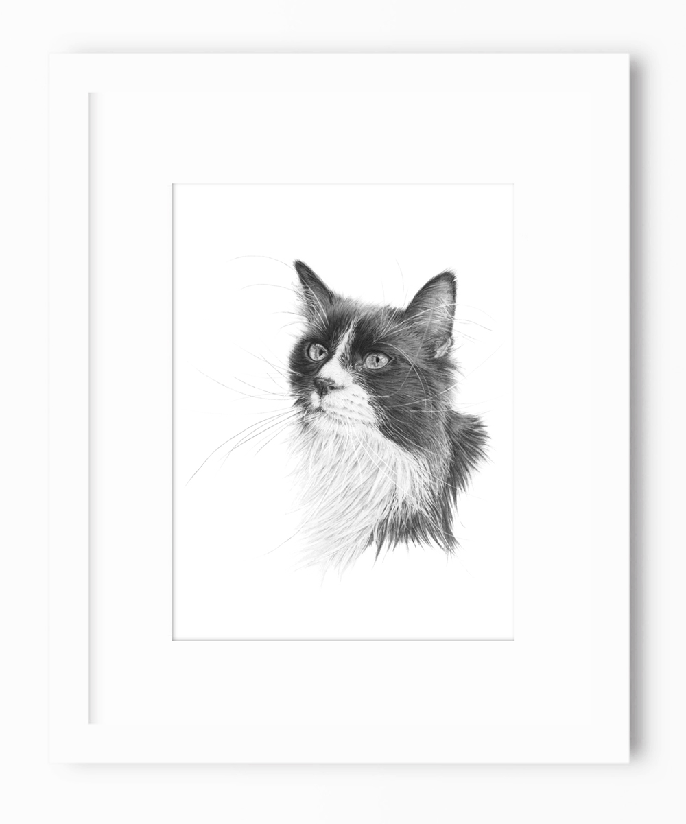 1000x1201 the cat's whiskers original artwork - Cat Whiskers Drawing