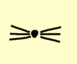 300x250 dan and phil cat whiskers - Cat Whiskers Drawing