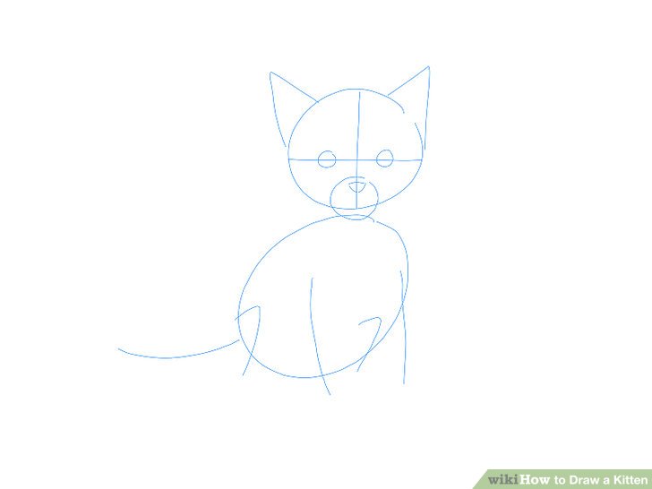 728x546 ways to draw a kitten - Cat Whiskers Drawing