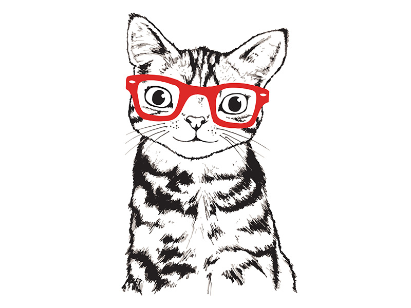 800x600 Cat With Glasses Drawing - Cat With Glasses Drawing