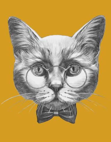 Cat With Glasses Drawing at PaintingValley.com | Explore collection of ...