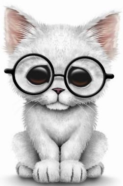 251x379 White Kitten In Glasses Cat Art Cute Animal Drawings, Cute - Cat With Glasses Drawing