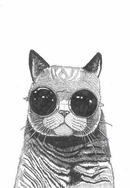 416x600 Would Like To Create A Loly Cat Using Mister Winters As Our Model - Cat With Glasses Drawing