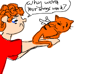 300x250 Boy Is Sad Because Cat Wings Won't Work Drawing - Cat With Wings Drawing
