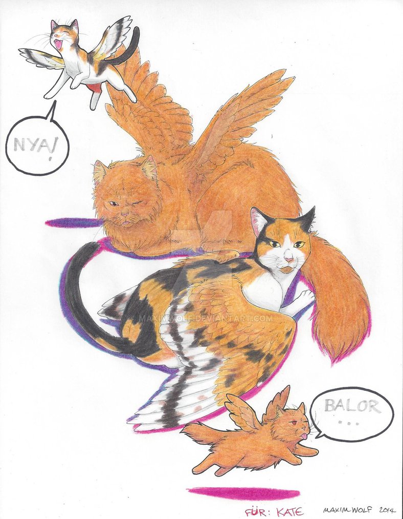 788x1013 i kinda gave your cats wings - Cat With Wings Drawing