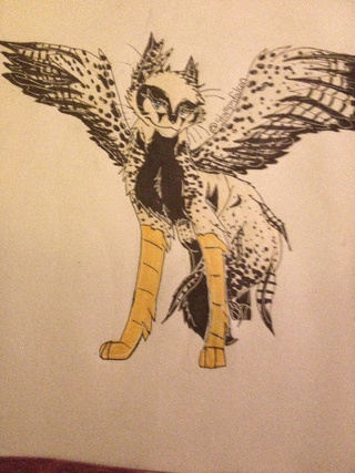 320x427 Peregrine Falcon Kinnifeather For ! Number - Cat With Wings Drawing