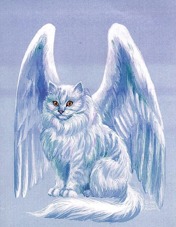 Cat With Wings Drawing at Explore collection of