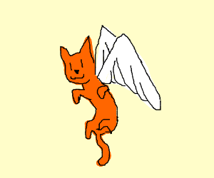 300x250 Nsfw Draw A Cat With Wings Drawing - Cat With Wings Drawing