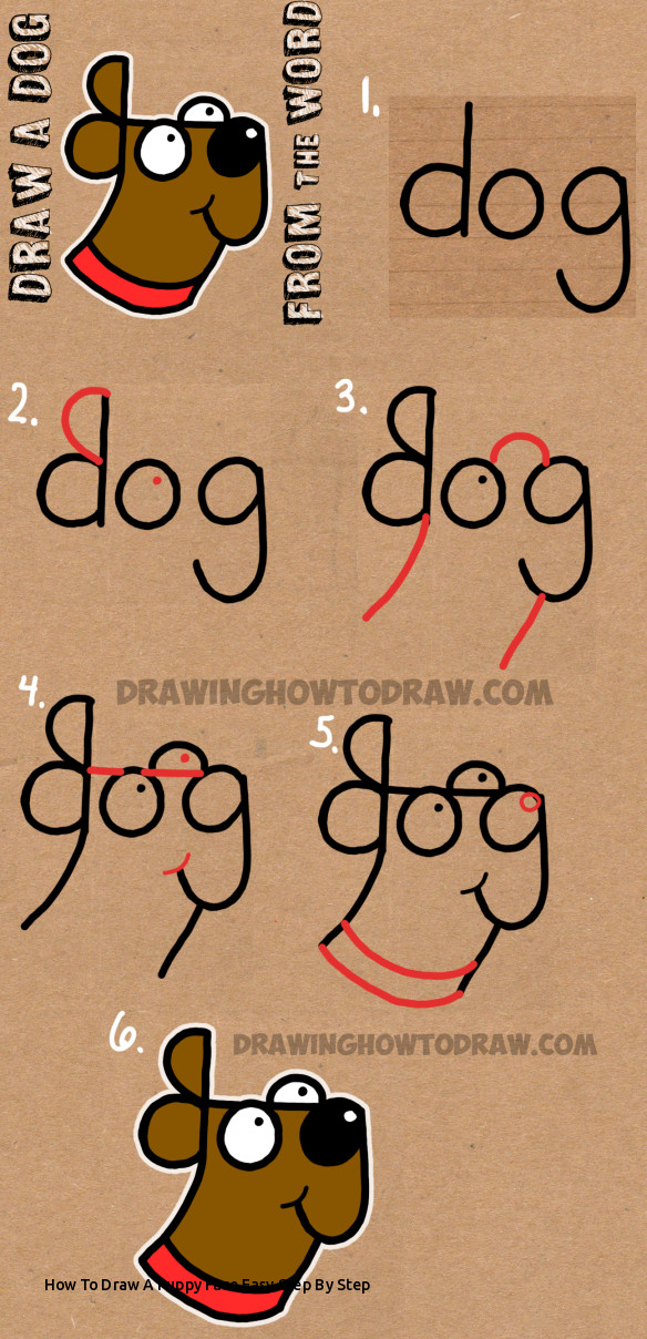 584x1208 How To Draw A Puppy Face Easy Step - Cat Word Drawing