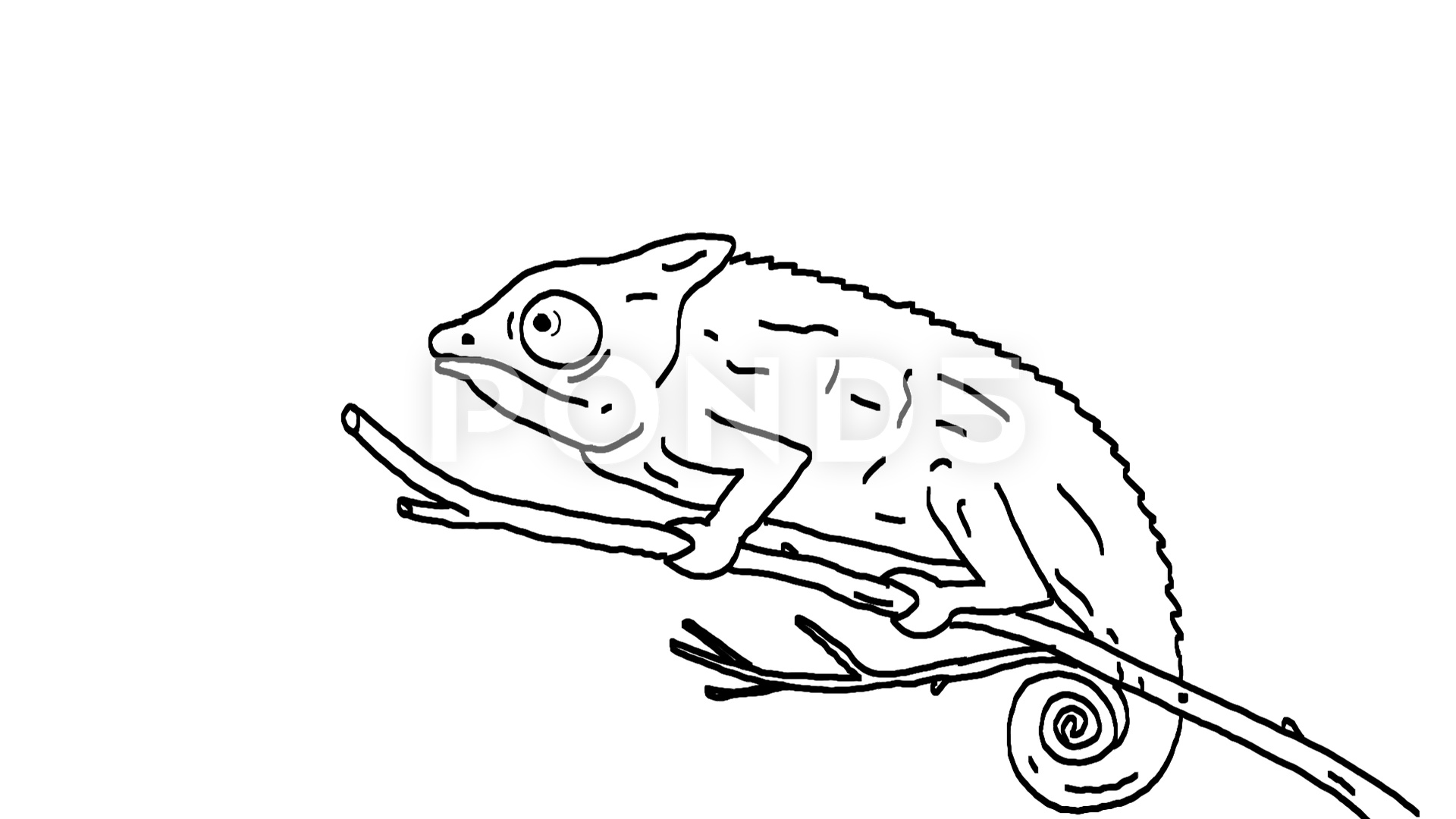 1920x1080 Chameleon Catching Flying Insect Drawing Animation Footage - Catching Drawing