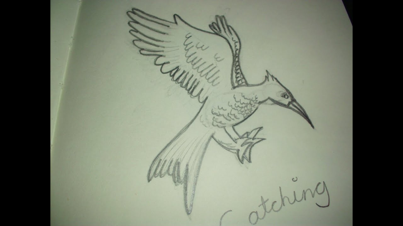1280x720 How To Draw The Catching Fire Logo - Catching Drawing