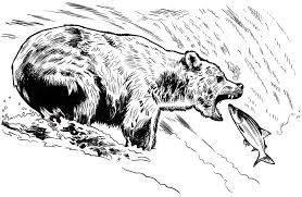 278x181 Image Result For Bear Catching Fish Drawing Bear Felting Project - Catching Drawing