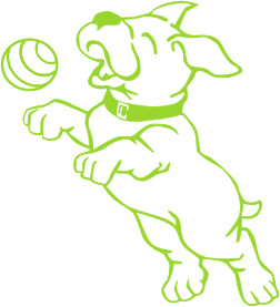 252x277 Dog Catching Ball Drawing - Catching Drawing