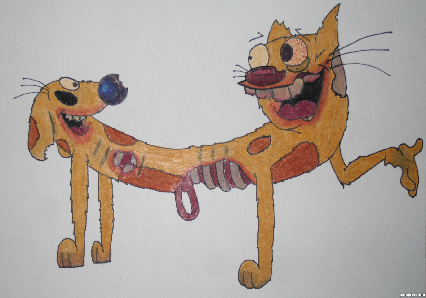 1800x1262 Catdog Picture - Catdog Drawing
