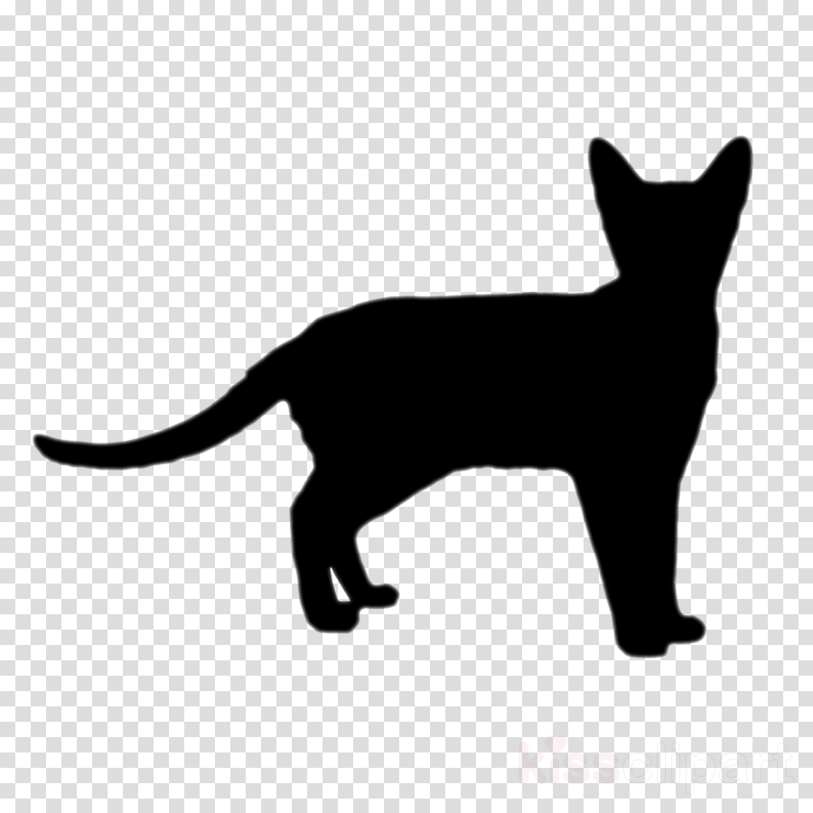 900x900 Cat, Dog, Drawing, Transparent Png Image Clipart Free Download - Catdog Drawing