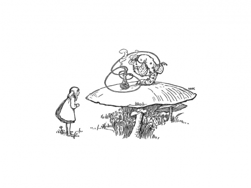 500x375 alice and the caterpillar - Caterpillar Alice In Wonderland Drawing