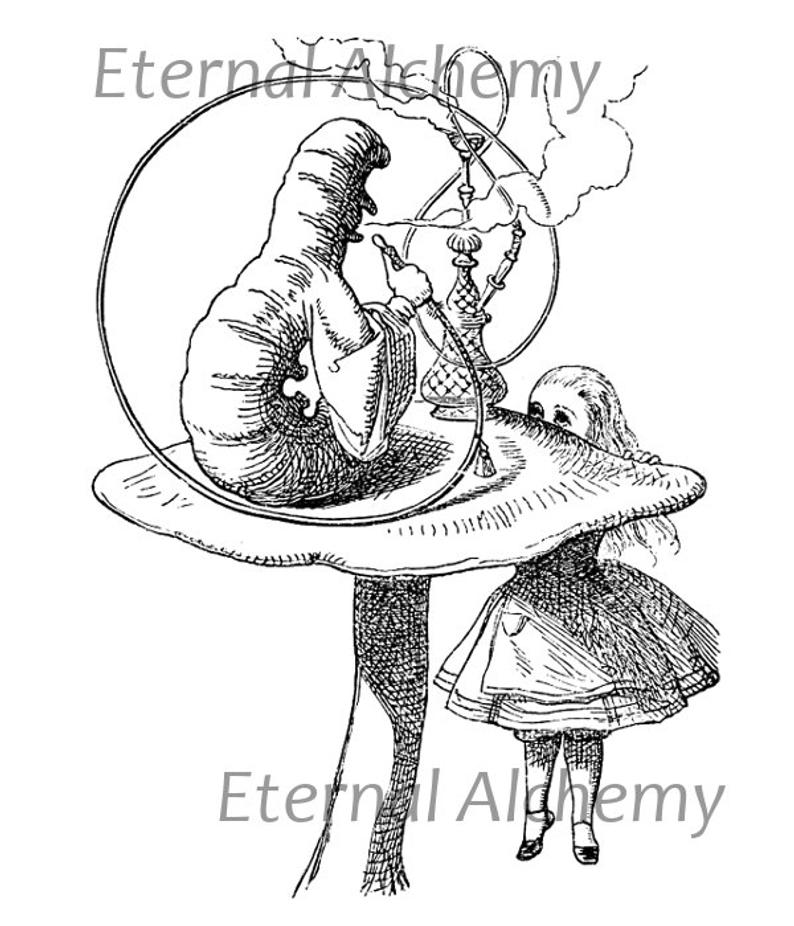 Alice And The Caterpillar Alice In Wonderland Digital Image Etsy - Caterpil...
