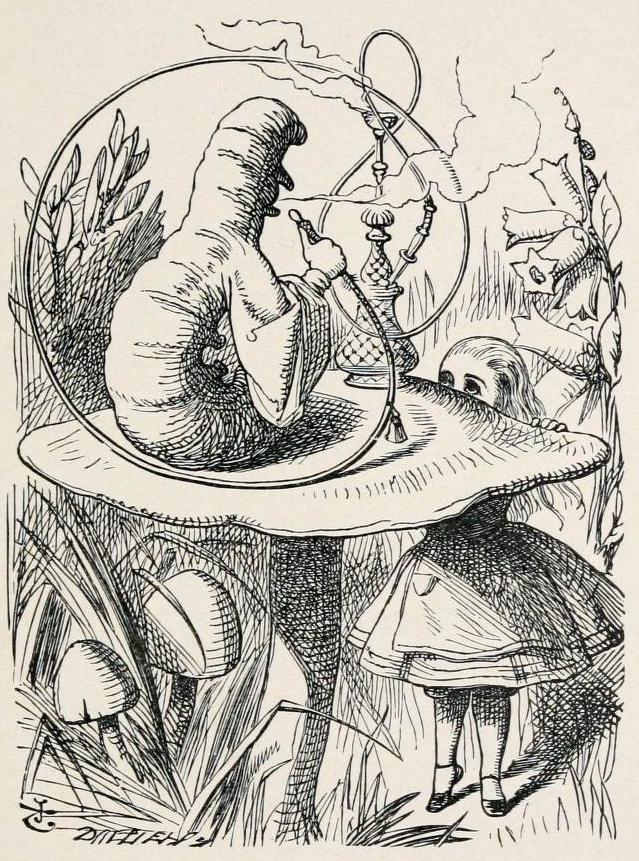639x861 Alice In Wonderland - Caterpillar Alice In Wonderland Drawing