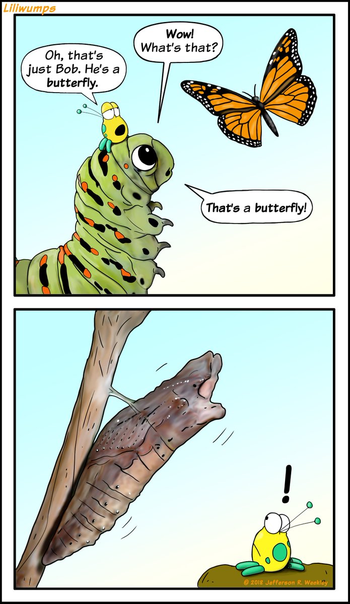 695x1200 jefferson r weekley on twitter - Caterpillar Cartoon Drawing