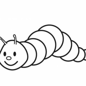 300x300 Draw A Caterpillar - Caterpillar Drawing