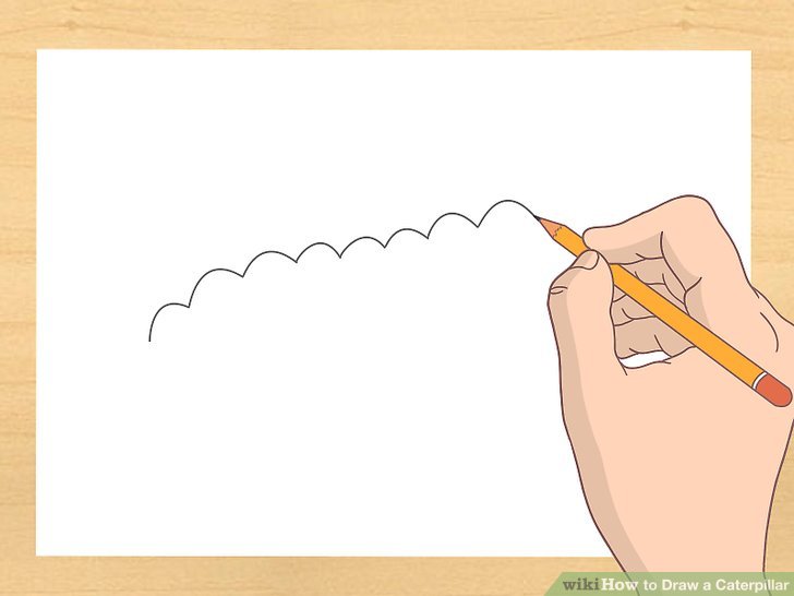 728x546 How To Draw A Caterpillar Steps - Caterpillar Drawing