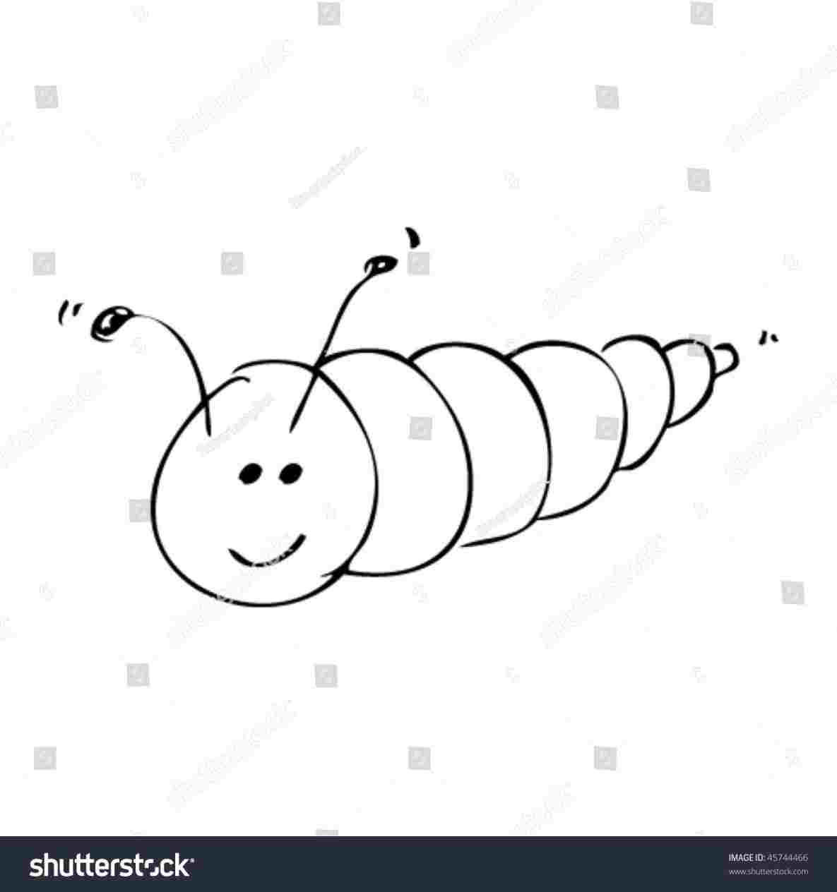1185x1264 Simple Caterpillar Drawing - Caterpillar Drawing