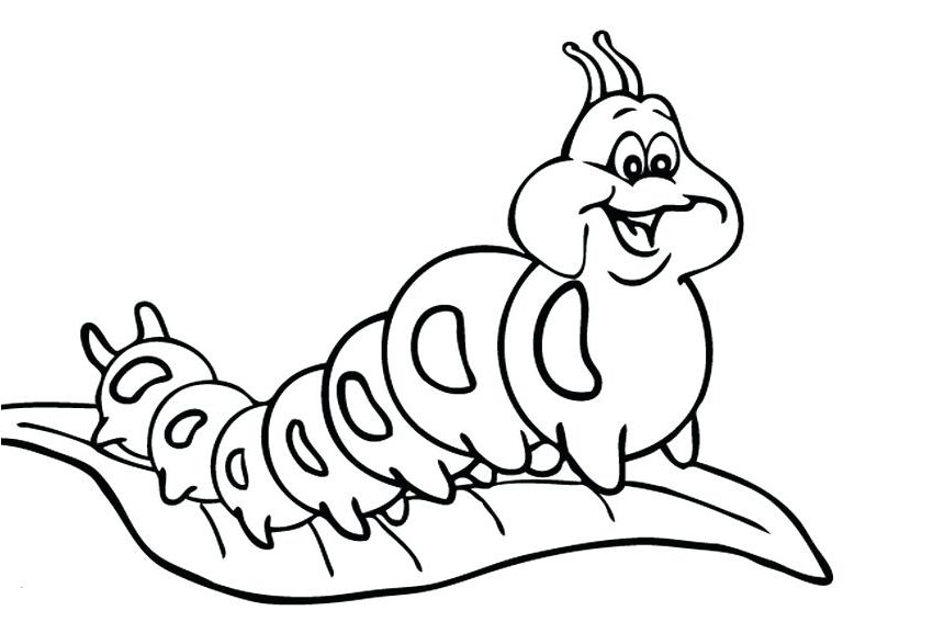 850x567 Drawn Caterpillar Drawing - Caterpillar Drawing Pictures