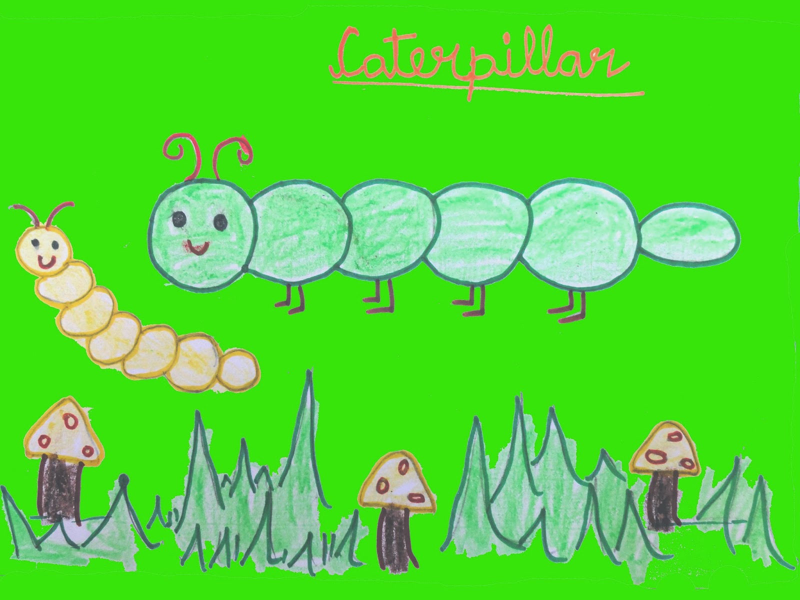 1600x1200 Drawn Caterpillar Kid Animal - Caterpillar Drawing Pictures