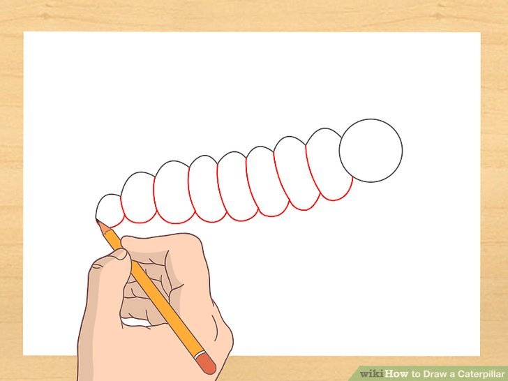 728x546 How To Draw A Caterpillar Steps - Caterpillar Drawing Pictures
