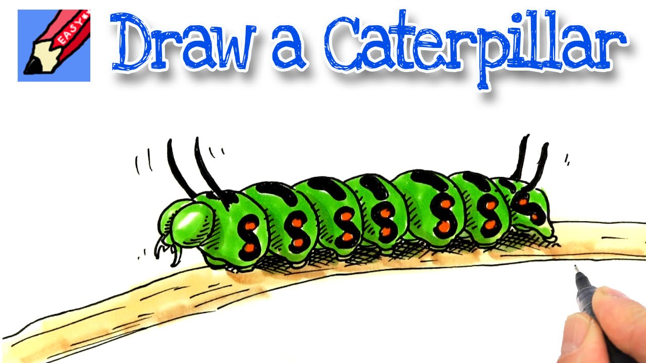 1280x720 How To Draw A Caterpillar - Caterpillar Drawing Pictures