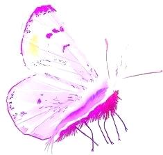235x223 Caterpillar To Butterfly Clipart A Butterfly Talks - Caterpillar To Butterfly Drawing