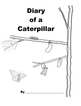 270x350 Diary Of A Caterpillar - Caterpillar To Butterfly Drawing