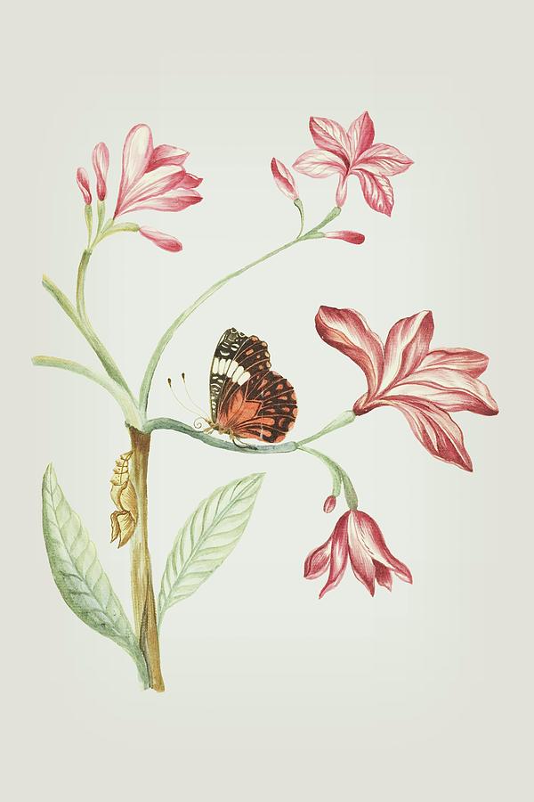 600x900 Jasmine Tree Branch With Caterpillar And Sitting Butterfly - Caterpillar To Butterfly Drawing