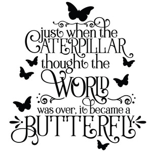 300x300 Silhouette Design Store - Caterpillar To Butterfly Drawing