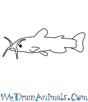 300x350 how to draw a catfish - Catfish Drawing