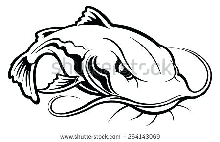 450x290 catfish drawings legionfront - Catfish Drawing