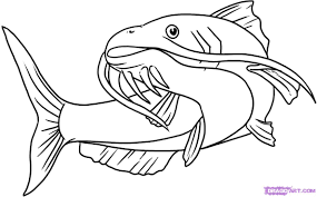 285x177 simple catfish drawing - Catfish Drawing