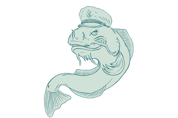 580x386 captain catfish drawing - Catfish Drawing