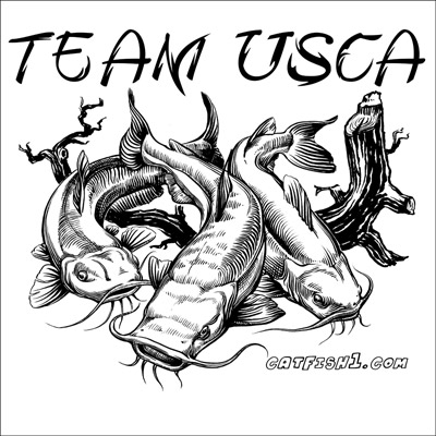 400x400 drawing for the us catfish association - Catfish Drawing Images