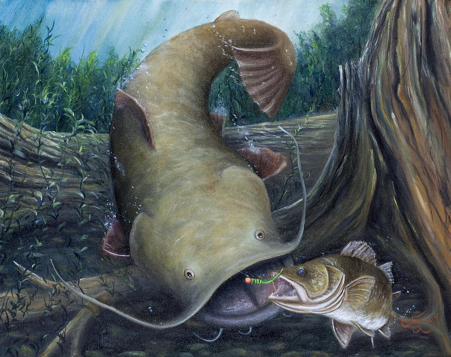 900x712 Top Dog Painting - Catfish Drawing Images