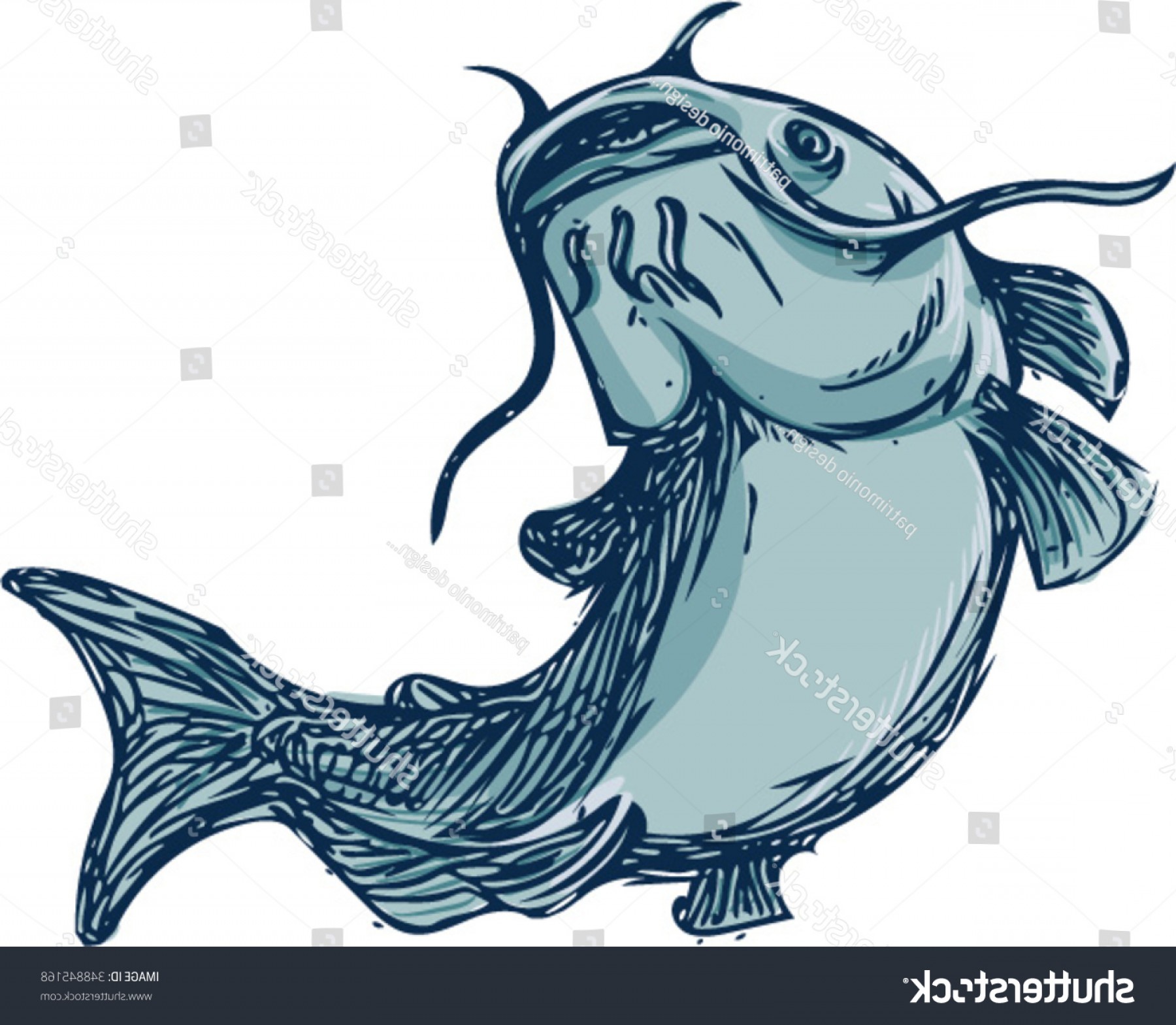 1800x1569 vector graphics of catfish soidergi - Catfish Drawing Images