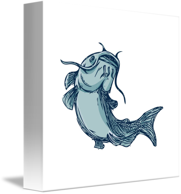 606x650 catfish mud cat jumping up drawing - Catfish Drawing Images