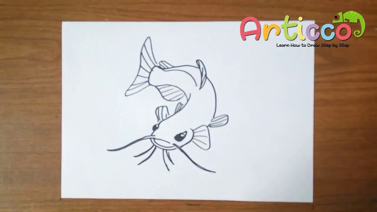 1280x720 How To Draw Catfish Step - Catfish Drawing Step By Step