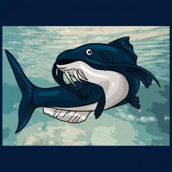 350x350 How To Draw A Catfish, Step - Catfish Drawing Step By Step